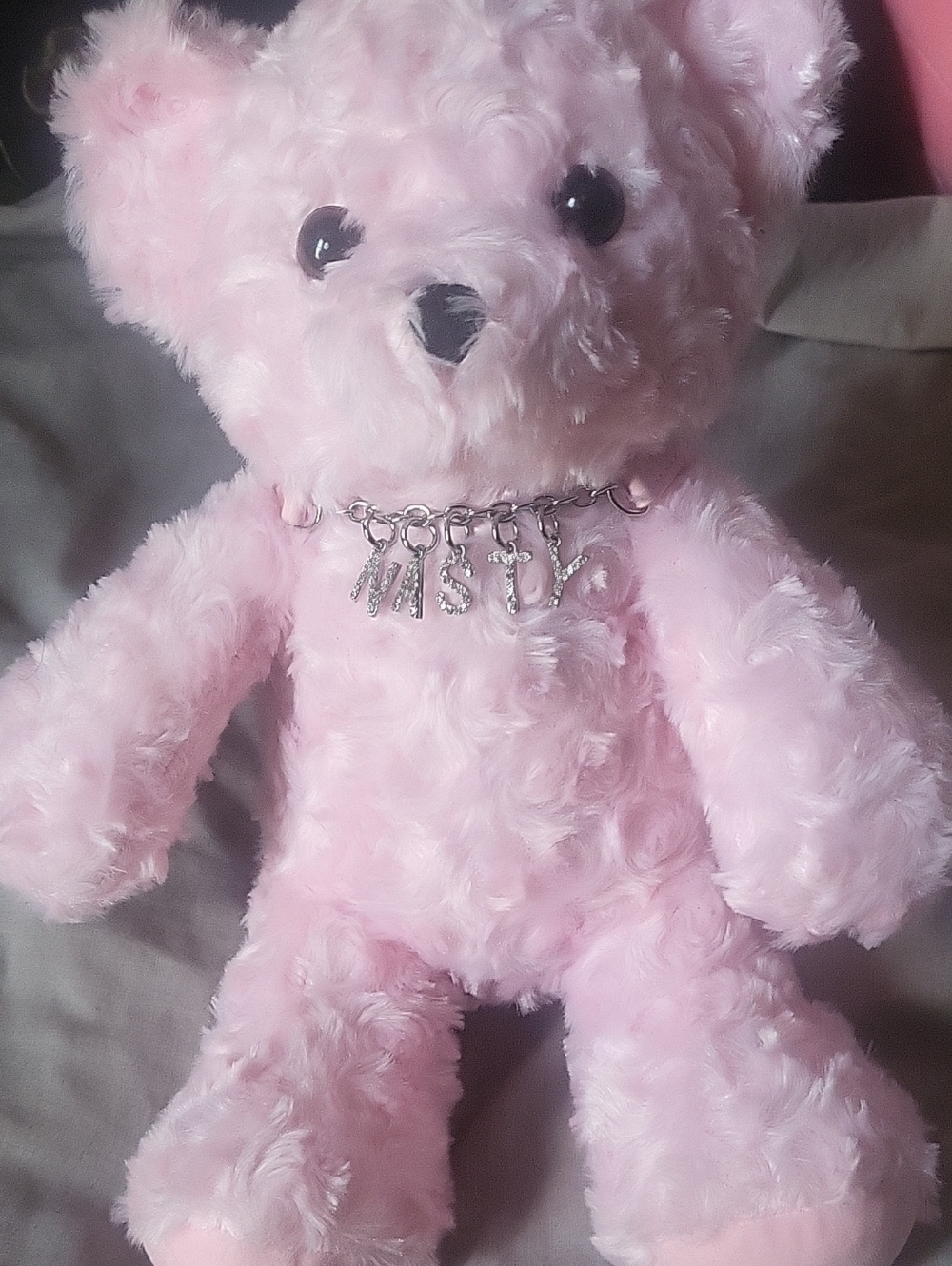 Club Exx Pink Plush Bear with Charm Necklace